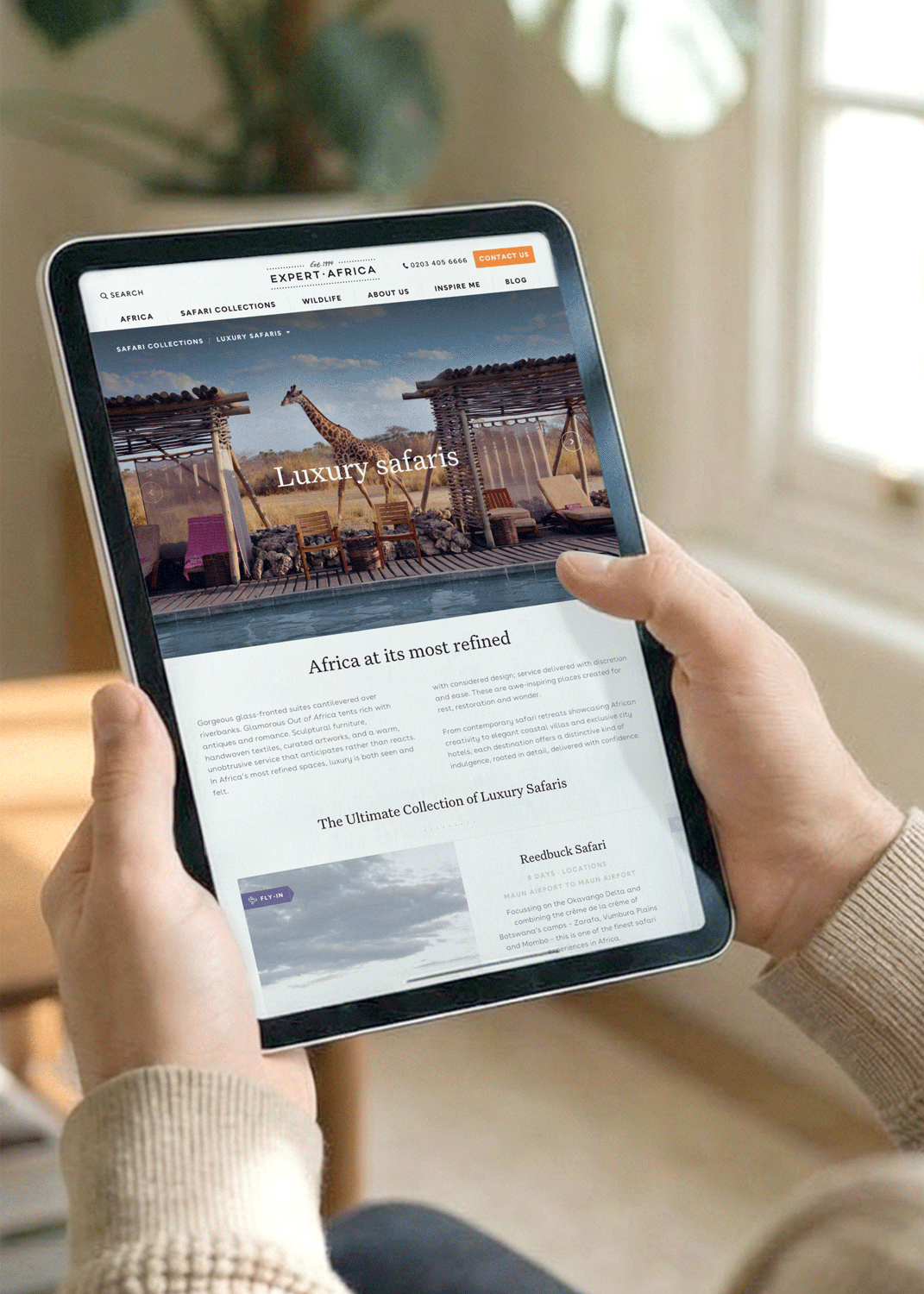 Luxury-Safari-Branding-website-design-wireframe-UX-UI (2)